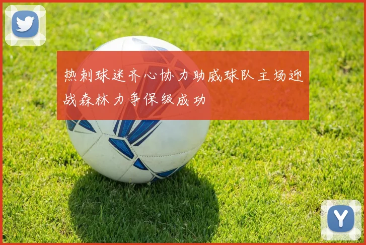 热刺球迷齐心协力助威球队主场迎战森林力争保级成功